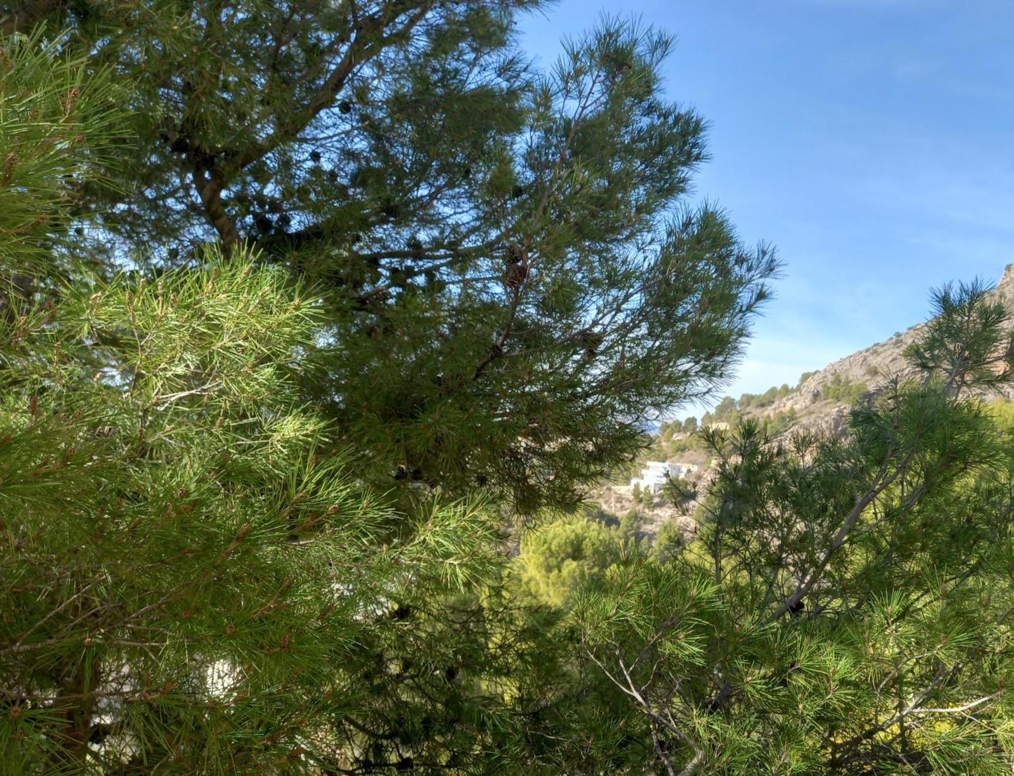 Townhouse Altea Hills别墅 外观 照片